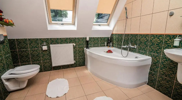 Люкс Willa Azja SPA & Wellness