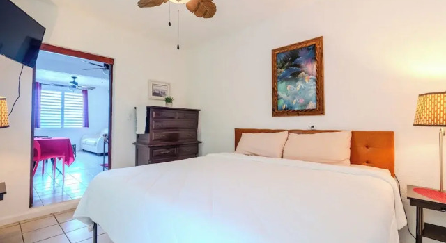 Двухместные апартаменты рядом с пляжем Coconut Palms Rincon
