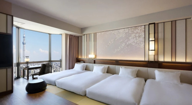 Полулюкс клубный Executive Asakusa View Hotel
