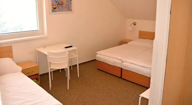 Camera tripla Standard Wellness Vila Bohemia