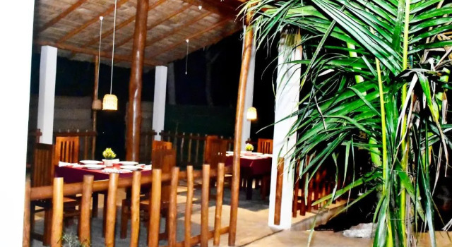 Номер Standard Baby Elephant Green House