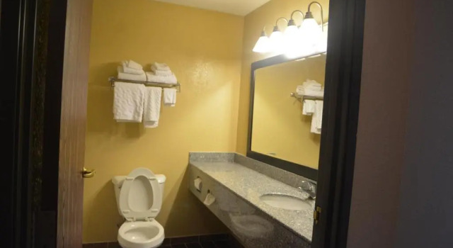 Номер Standard Countryside Inn and Suites