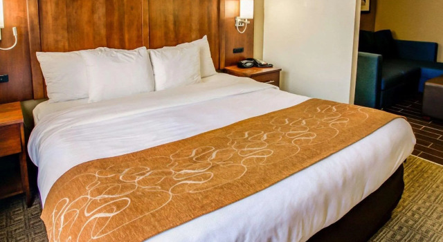 Двухместный номер Standard Comfort Suites Georgetown
