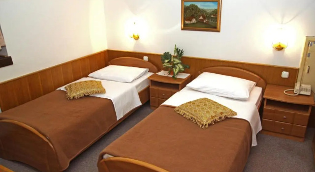 Двухместный номер Standard Guest house Royal