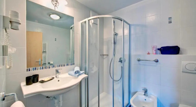 Номер Standard Parkhotel Plauserhof
