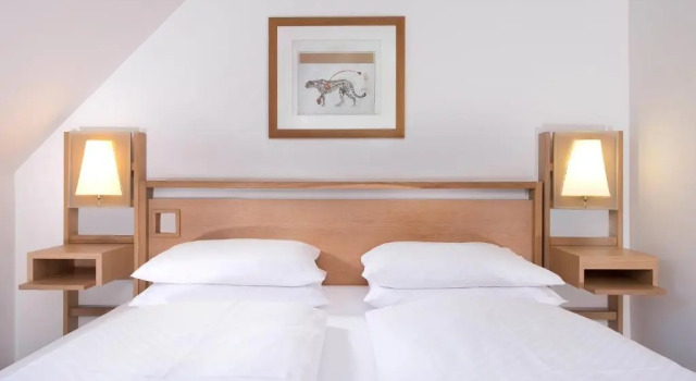 Двухместный номер Standard Hotel Agneshof Nürnberg