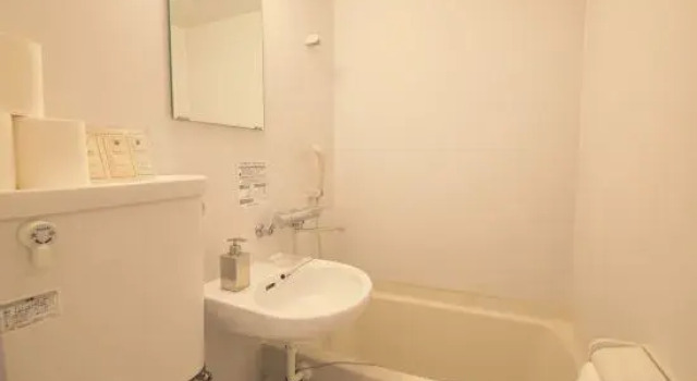 Номер Superior Kyo-wa Hotel Kameido