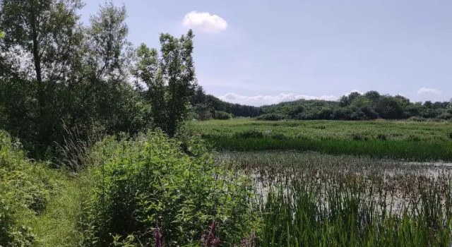Ruegen Fewo 81, Забронировать Отель Ломе Рюген