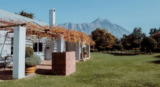 Семейный люкс Saronsberg Vineyard Cottages