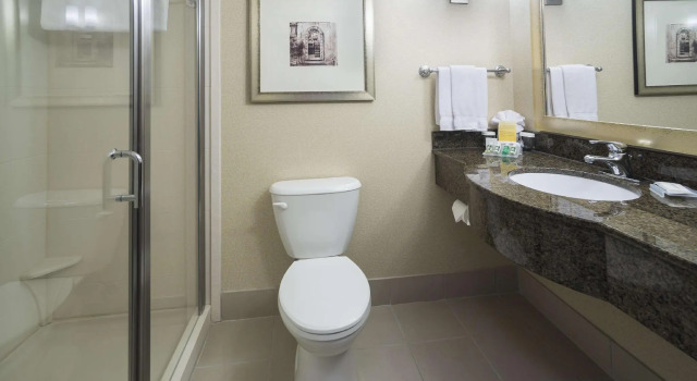Двухместный полулюкс Hilton Garden Inn Sioux Falls South