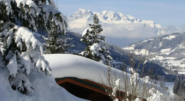 Шале Chalets Ebner