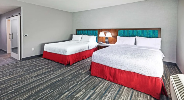 Четырёхместный номер Standard Hampton Inn & Suites Canyon, Tx
