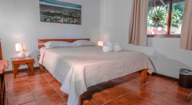 Номер Deluxe Hotel El Jardin