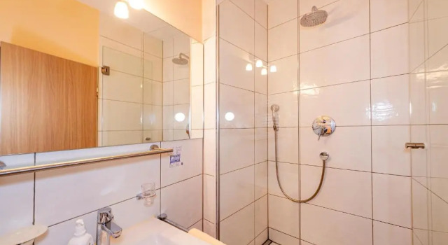 Трёхместный номер Standard Hotel Garni Brugger