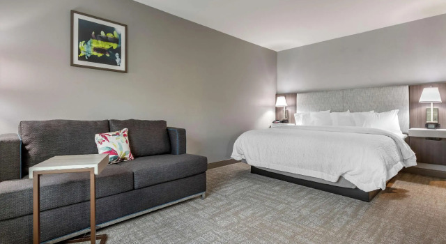 Двухместный номер Standard Hampton Inn Camden, SC