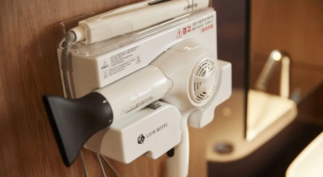 Двухместный семейный номер Standard Lion Hotel