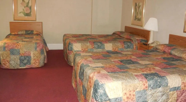 Трёхместный номер Standard Hotel Harrington