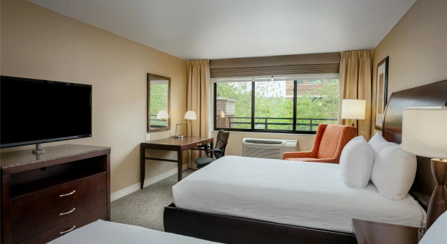 Номер Standard Hilton Garden Inn Seattle/Issaquah