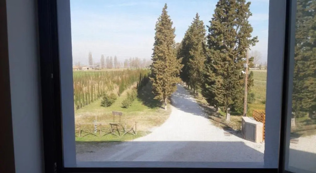 Четырёхместный номер Standard Agriturismo La Semente
