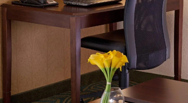 Двухместный люкс SpringHill Suites by Marriott Medford