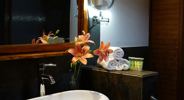 Трёхместный люкс Hotel Pucon Green Park