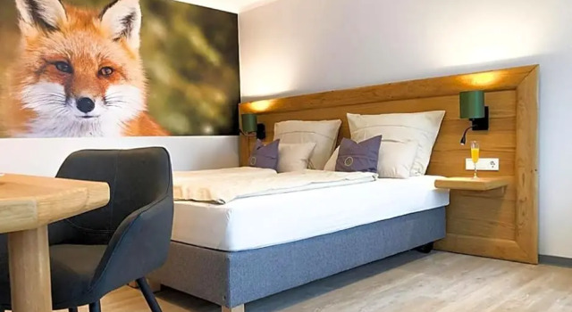 Номер Superior Landhotel Napoleon