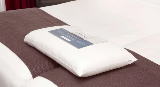 Standart çift kişilik oda Kyriad Chantilly