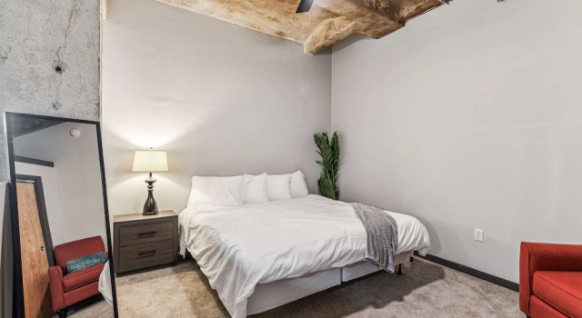 Апартаменты Grand Luxury Historic Loft with Gym