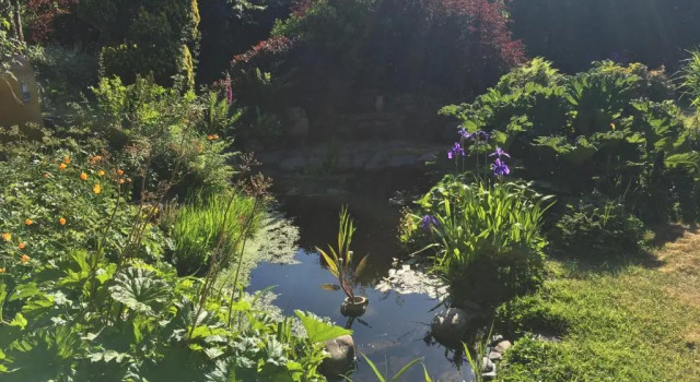 Slerra Hill Bed and Breakfast, Clovelly