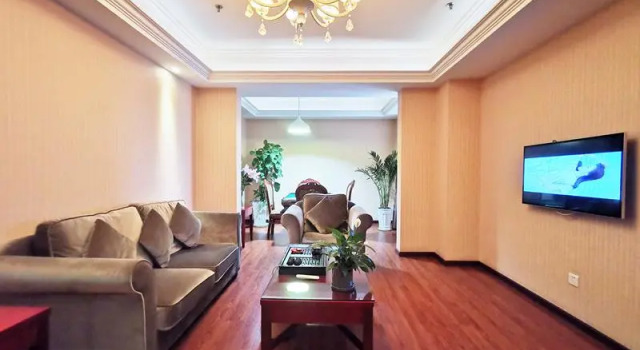 Люкс Vienna Hotel Chongqing Changshengqiao Subway Station Branch