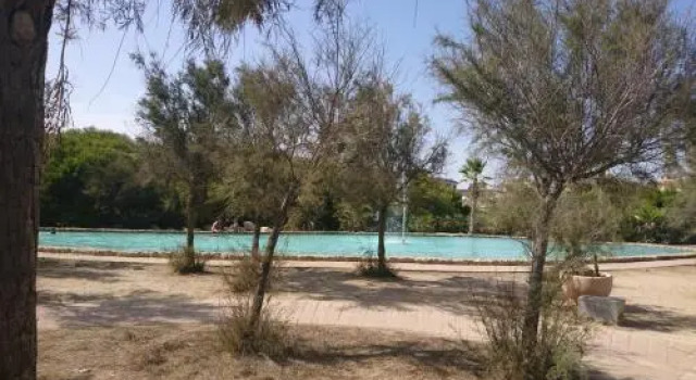 Stunning La Mata Beach Suite, Забронировать Отель Торревьеха Коста-Бланка, рядом с Пляж Ла-Мата