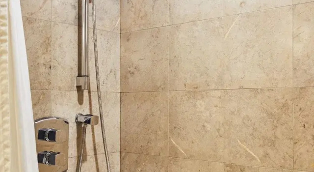 Habitación doble De lujo Lotte Hotel Ulsan