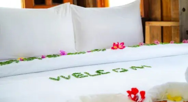Номер Standard River Nest Hostel