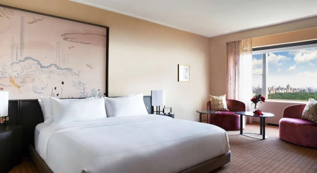 Двухместный номер с видом на парк Park Lane New York