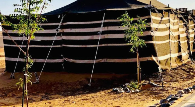 Люкс Wahiba Bedouin Rustic Camp