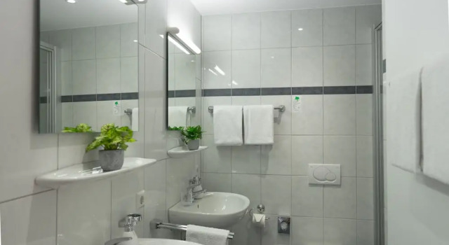 Двухместный люкс Hotel La Fleur
