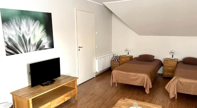 Standardní Dvoulůžkový s manželskou postelí pokoj Hostel Ingeri