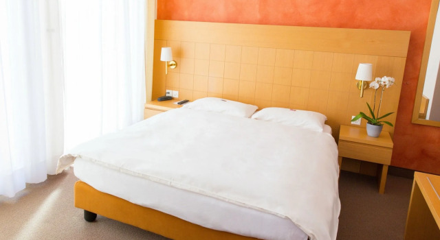Hotel DU LAC Locarno