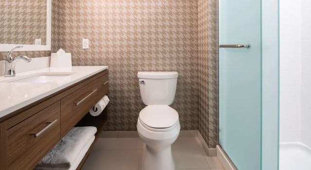 Двухместная студия Hearing Accessible Home2 Suites By Hilton Boise Downtown