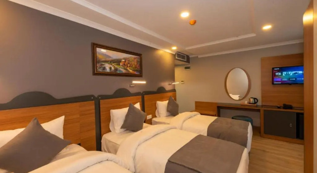 Трёхместный номер Deluxe New Emin Hotel