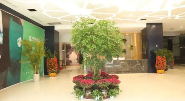 Sotel Inn Cultura Hotel Wenzhou University Branch, Prenota Hotel Wenzhou Zhejiang