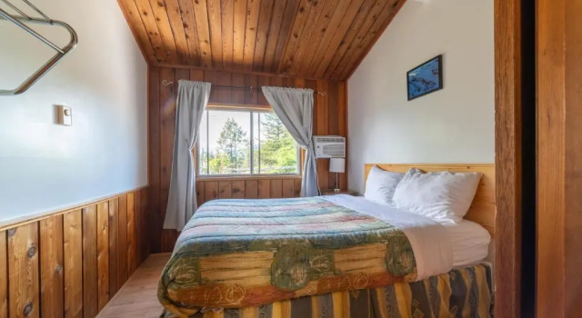Четырёхместный номер Standard Cedar Motel
