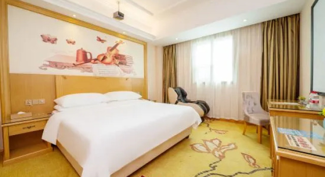 Люкс Deluxe Vienna Hotel (Dongguan Huangjiang Metro Station Branch)
