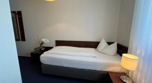 Номер Standard Hotel Garni Geisler