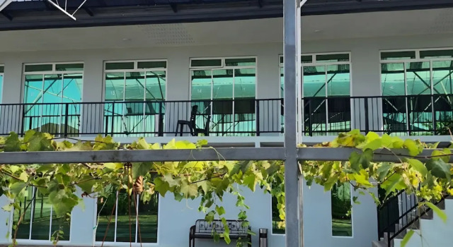 Grapevine Garden