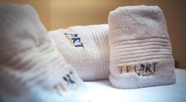 Номер Standard Hotel Triart