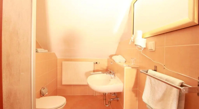 Двухместный номер Standard Hotel Müritz-Park