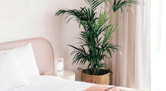 Люкс с частичным видом на океан Motel Molly - Boutique Hotel Mollymook