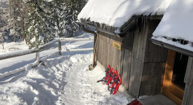 Шале Chalet Pehta Velika Planina