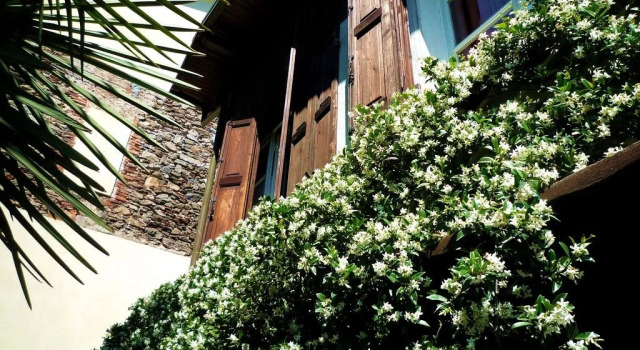 Villanuvola, Prenota Hotel Meina Lago Maggiore